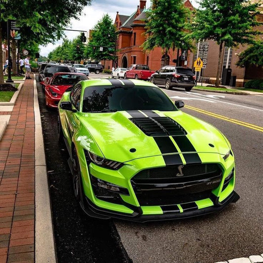 Super Snakes - The Shelby Mustangs