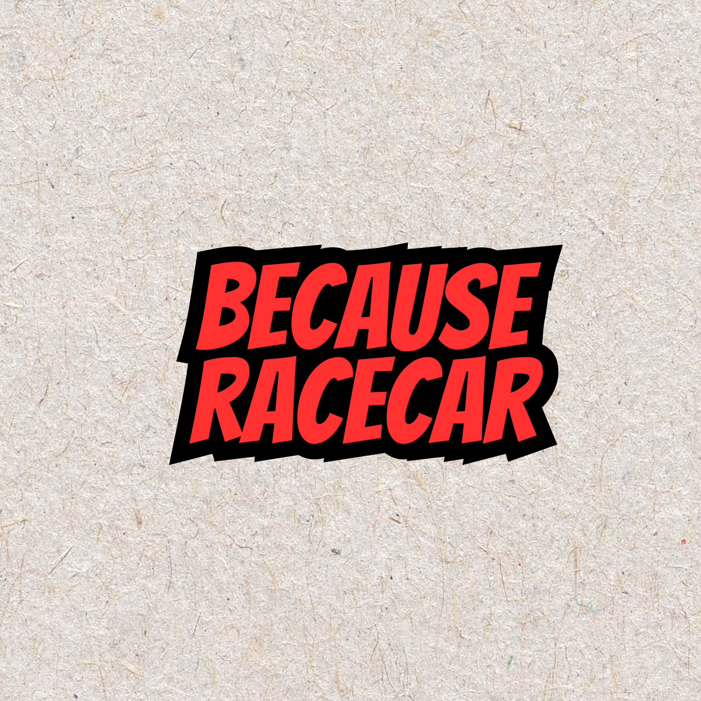 Because Racecar Stickers