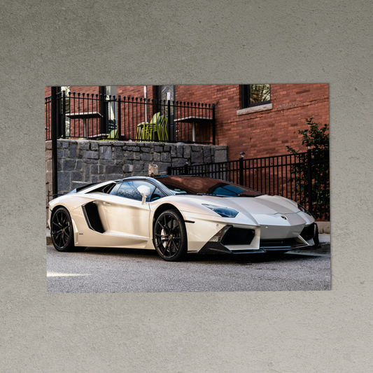 white Lamborghini poster india